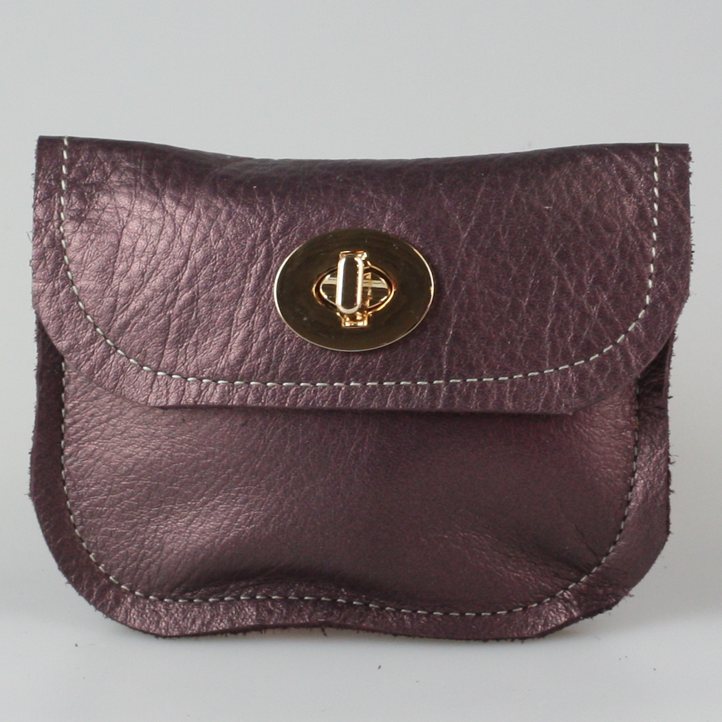 The Turnlock Metallic Wallet: 3 sizes! - Zina Kao Exclusives